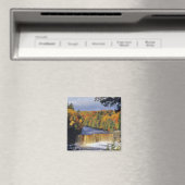 Bovenste Tahquamenon-Herfsten in UP Michigan in he Magneet (Insitu (Vaatwasser))