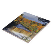 Bovenste Tahquamenon-Herfsten in UP Michigan in he Tegeltje (Zijkant)