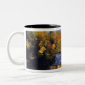 Bovenste Tahquamenon-Herfsten in UP Michigan in he Tweekleurige Koffiemok (Links)