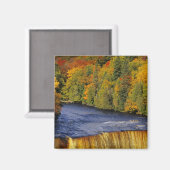 Bovenste Tahquamenon Herfsten in UP Michigan in Magneet (Voorkant / Achterkant)