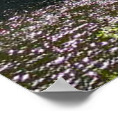 Bovenste Tahquamenon Herfsten, Michigan Poster (Hoek)