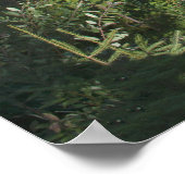 Bovenste Tahquamenon Herfsten, Michigan Poster (Hoek)