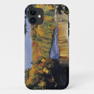 Bovenste Tahquamenon-watervallen in het noorden va iPhone 11 Hoesje
