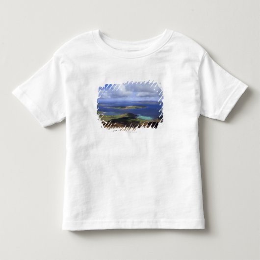 Bovenste uitzicht: braad geluid, graemsay & orkney kinder shirts (Voorkant)