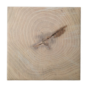 Bovenste uitzicht van de jaarringen van de afsluit tegeltje