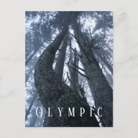 Bovenste Uitzicht van het Nationaal Park van de Gr Briefkaart (Voorkant)