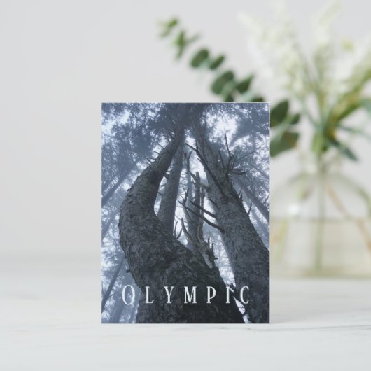 Bovenste Uitzicht van het Nationaal Park van de Gr Briefkaart (Staand voorkant)