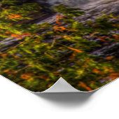 Bovenste waterval met herfstkleuren poster (Hoek)