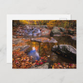 Bovenste Whiteoak-Herfsten, Nationaal Park Shenand Briefkaart (Voorkant / Achterkant)