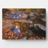 Bovenste Whiteoak-Herfsten, Nationaal Park Shenand Fotoplaat (voorkant)