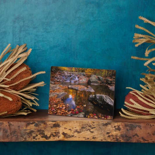 Bovenste Whiteoak-Herfsten, Nationaal Park Shenand Fotoplaat (Zijkant)