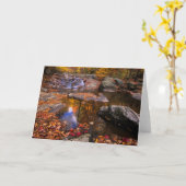 Bovenste Whiteoak-Herfsten, Nationaal Park Shenand Kaart (Gele Bloem)