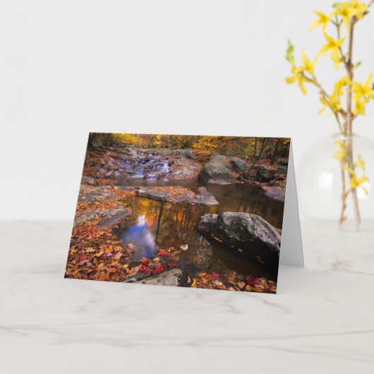 Bovenste Whiteoak-Herfsten, Nationaal Park Shenand Kaart (Gele Bloem)