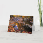 Bovenste Whiteoak-Herfsten, Nationaal Park Shenand Kaart (Voorkant)