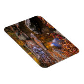 Bovenste Whiteoak-Herfsten, Nationaal Park Shenand Magneet (Rechterzijde)