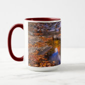 Bovenste Whiteoak-Herfsten, Nationaal Park Shenand Mok (Links)