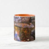 Bovenste Whiteoak-Herfsten, Nationaal Park Shenand Mok (Midden)