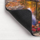 Bovenste Whiteoak-Herfsten, Nationaal Park Shenand Muismat (Hoek)