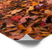 Bovenste Whiteoak-Herfsten, Nationaal Park Shenand Poster (Hoek)