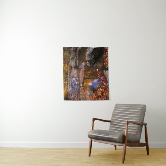 Bovenste Whiteoak-Herfsten, Nationaal Park Shenand Wandkleed (In situ)