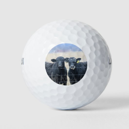 Boviene omstanders golfballen (Voorkant)