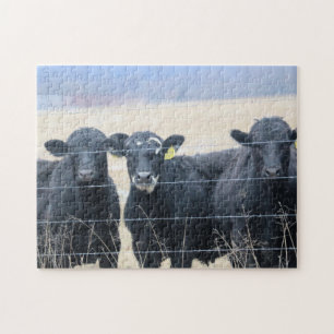 Boviene omstanders legpuzzel