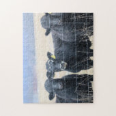 Boviene omstanders legpuzzel (Verticaal)