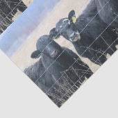 Boviene omstanders tissuepapier (Detail)