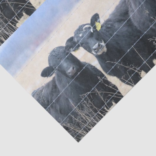 Boviene omstanders tissuepapier (Detail)