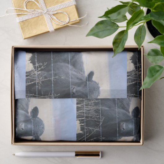 Boviene omstanders tissuepapier (Geschenk)