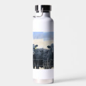 Boviene omstanders waterfles (Rechts)