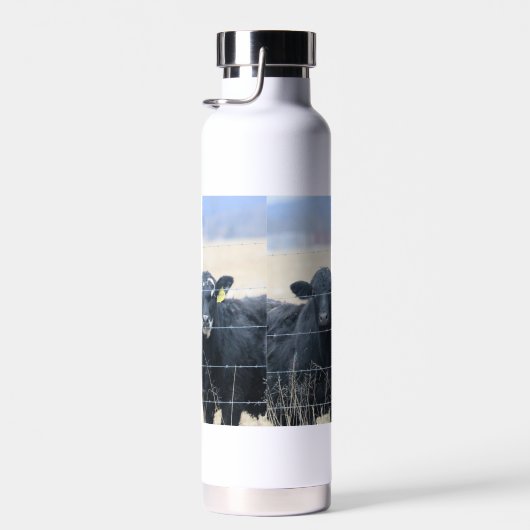 Boviene omstanders waterfles (Rechts)