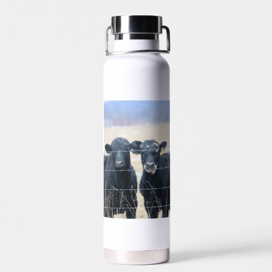 Boviene omstanders waterfles (Achterkant)