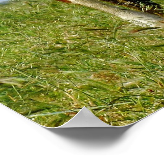 Bovine Beauty. Poster (Hoek)