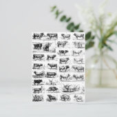 Bovine Chart Briefkaart (Staand voorkant)