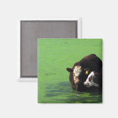 Bovine Spa Magneet (Voorkant / Achterkant)