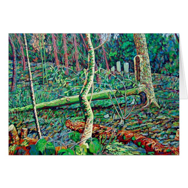 Bow 2 (Voorkant Horizontaal)