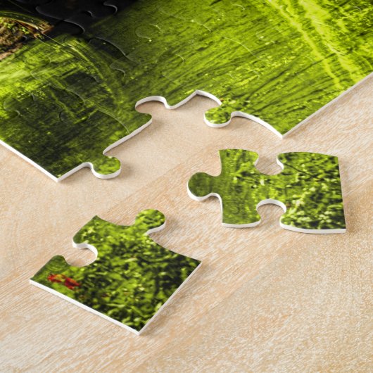 Bow Bridge, Central Park, NYC Puzzel Legpuzzel (Zijkant)