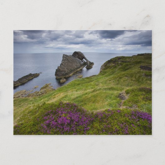 Bow Fiddle Rock, Portknockie, Schotland Briefkaart (Voorkant)