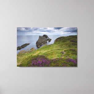 Bow Fiddle Rock, Portknockie, Schotland Canvas Afdruk