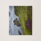 Bow Fiddle Rock, Portknockie, Schotland Legpuzzel (Verticaal)