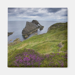 Bow Fiddle Rock, Portknockie, Schotland Magneet