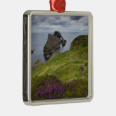 Bow Fiddle Rock, Portknockie, Schotland Metalen Ornament (Rechts)