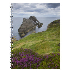Bow Fiddle Rock, Portknockie, Schotland Notitieboek