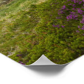 Bow Fiddle Rock, Portknockie, Schotland Poster (Hoek)