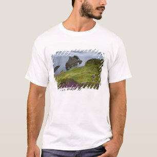Bow Fiddle Rock, Portknockie, Schotland T-shirt
