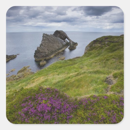 Bow Fiddle Rock, Portknockie, Schotland Vierkante Sticker (Voorkant)