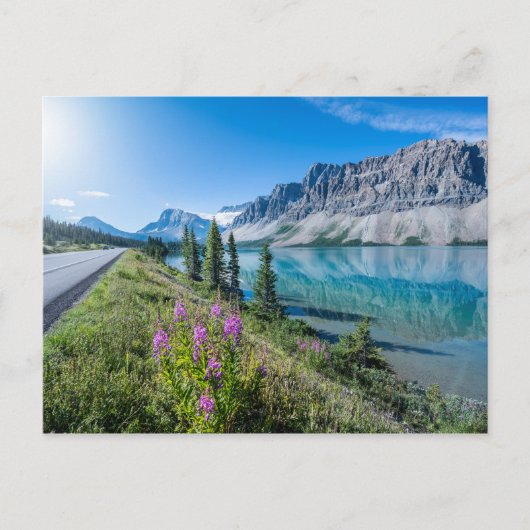 Bow Lake Banff National Park Canada Revel Briefkaart (Voorkant)
