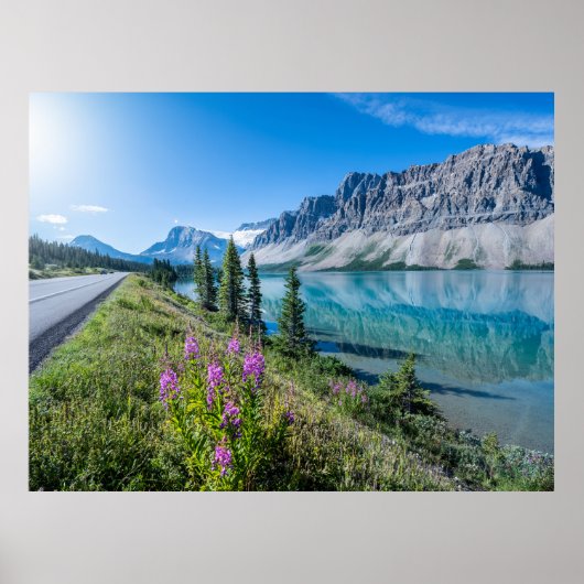 Bow Lake Banff National Park Canada Revel Poster (Voorkant)