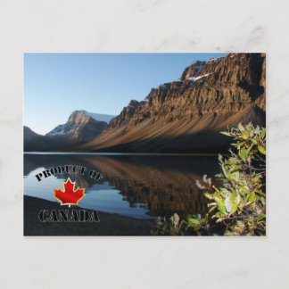 Bow Lake & Glacier Briefkaart